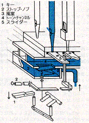 fig.of whole slider chest 