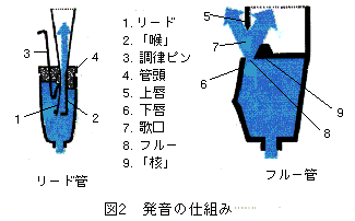 cross section of pipes